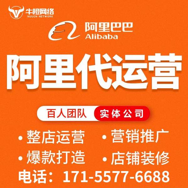 安宁电商代运营