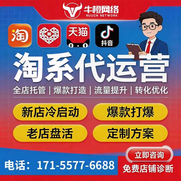 安宁电商代运营