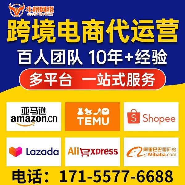 安宁电商代运营