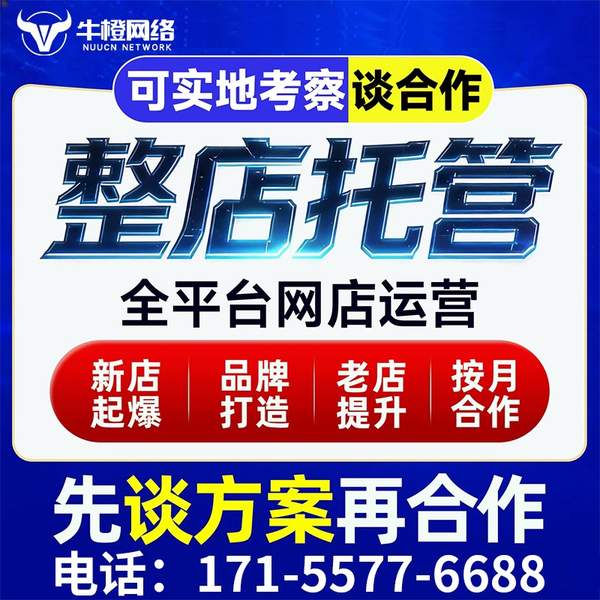 安宁电商代运营