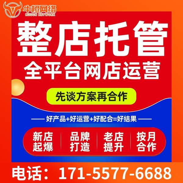 安宁电商代运营