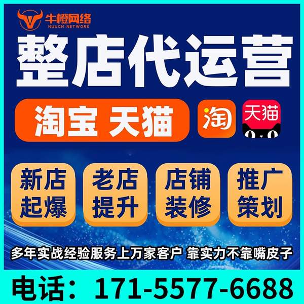 安宁电商代运营