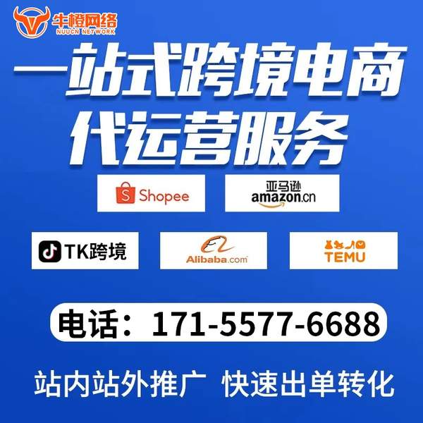 安宁电商代运营