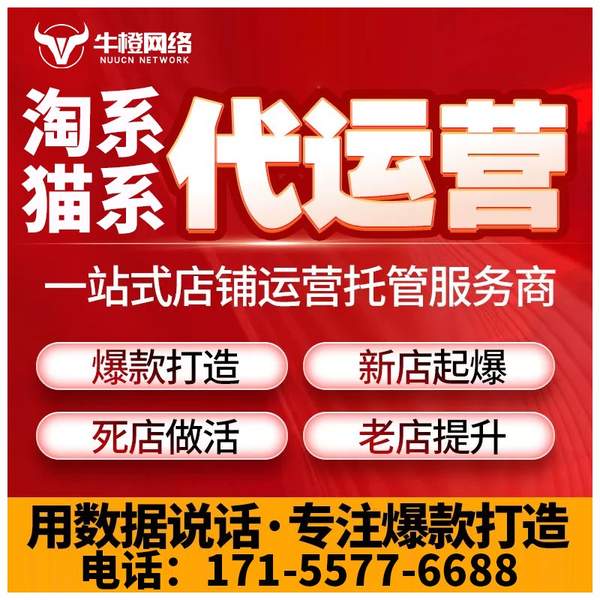 安宁电商代运营